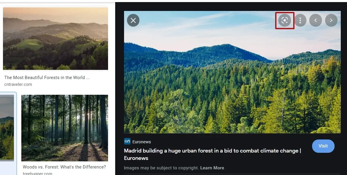 The Complete Guide to Reverse Image Search